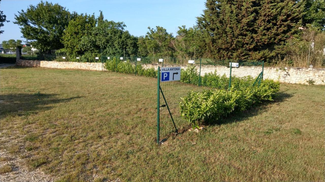 מדולין Villa Antonia מראה חיצוני תמונה